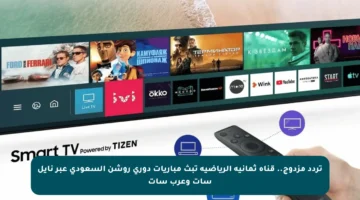 تردد مزدوج.. قناة ثمانية الرياضية تبث مباريات دوري روشن السعودي عبر نايل سات وعرب سات